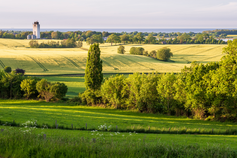 Hegebusch; Hecke