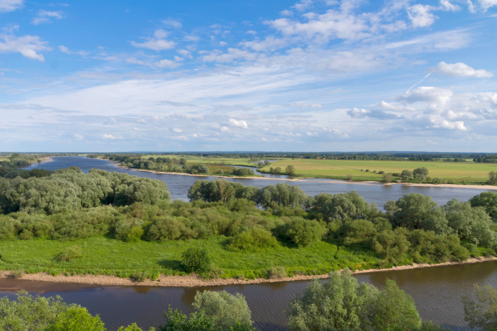 Biosphärenreservat an der Elbe