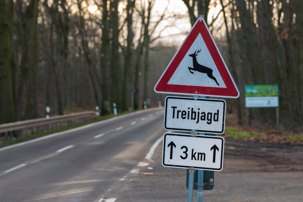 Treibjagd Schild