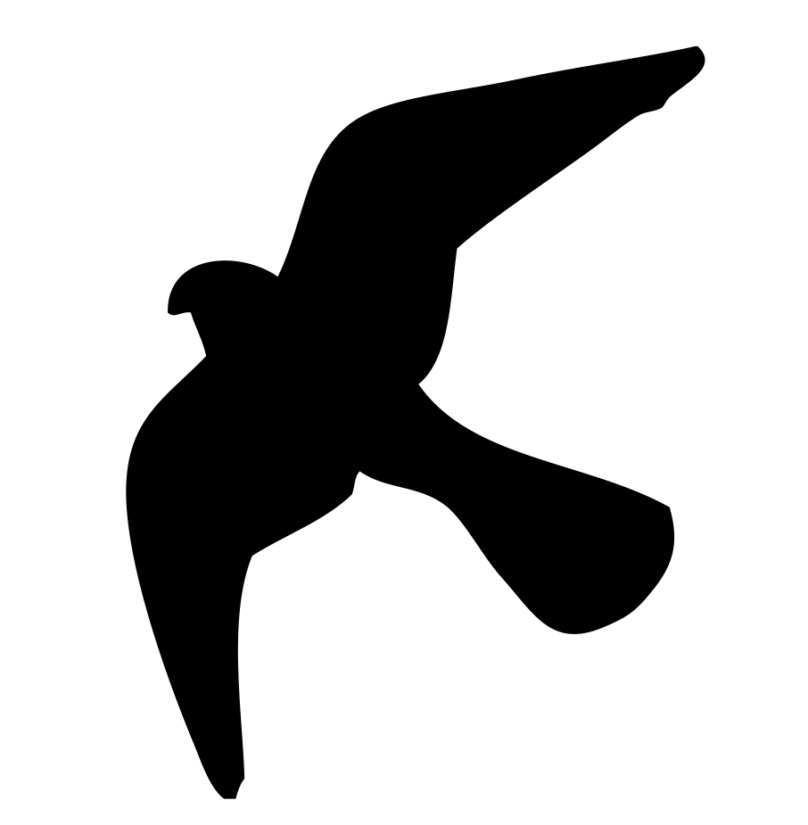 Flugbild des Falken