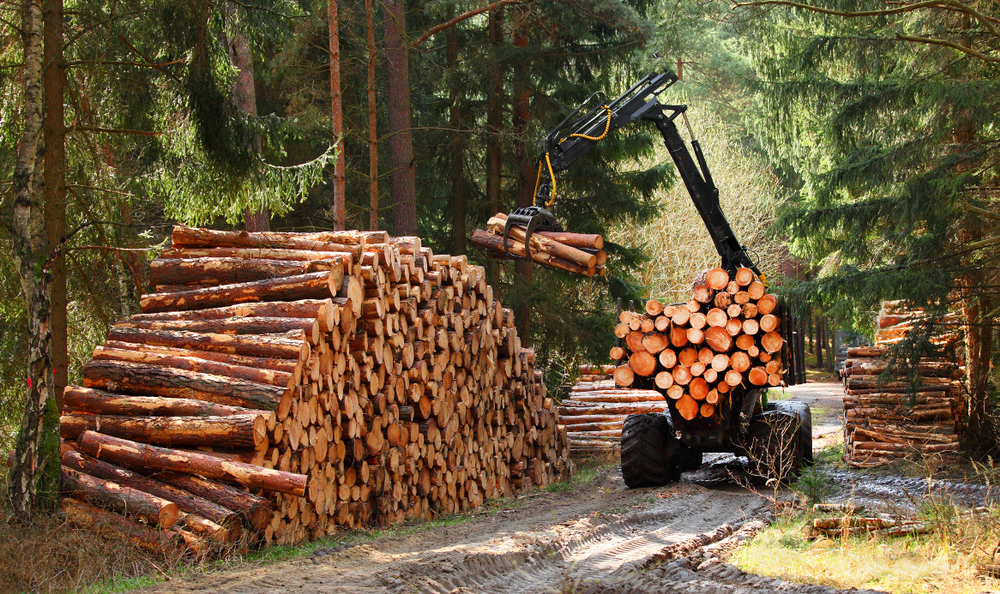 Hochwald