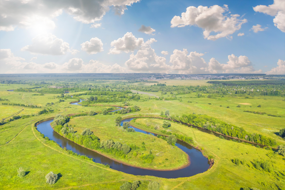 Fluss Naturnah