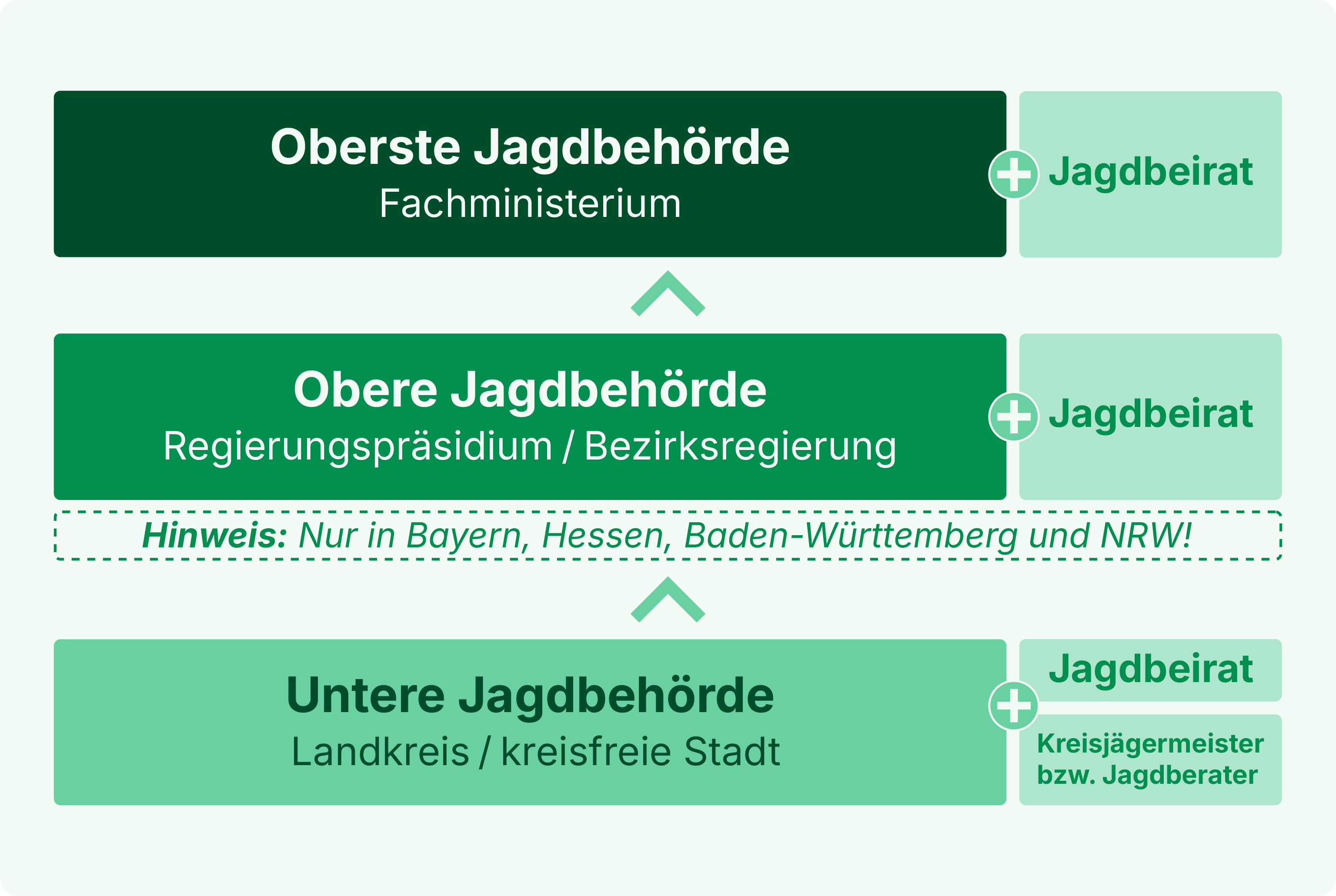 Aufbau der Jagdverwaltung