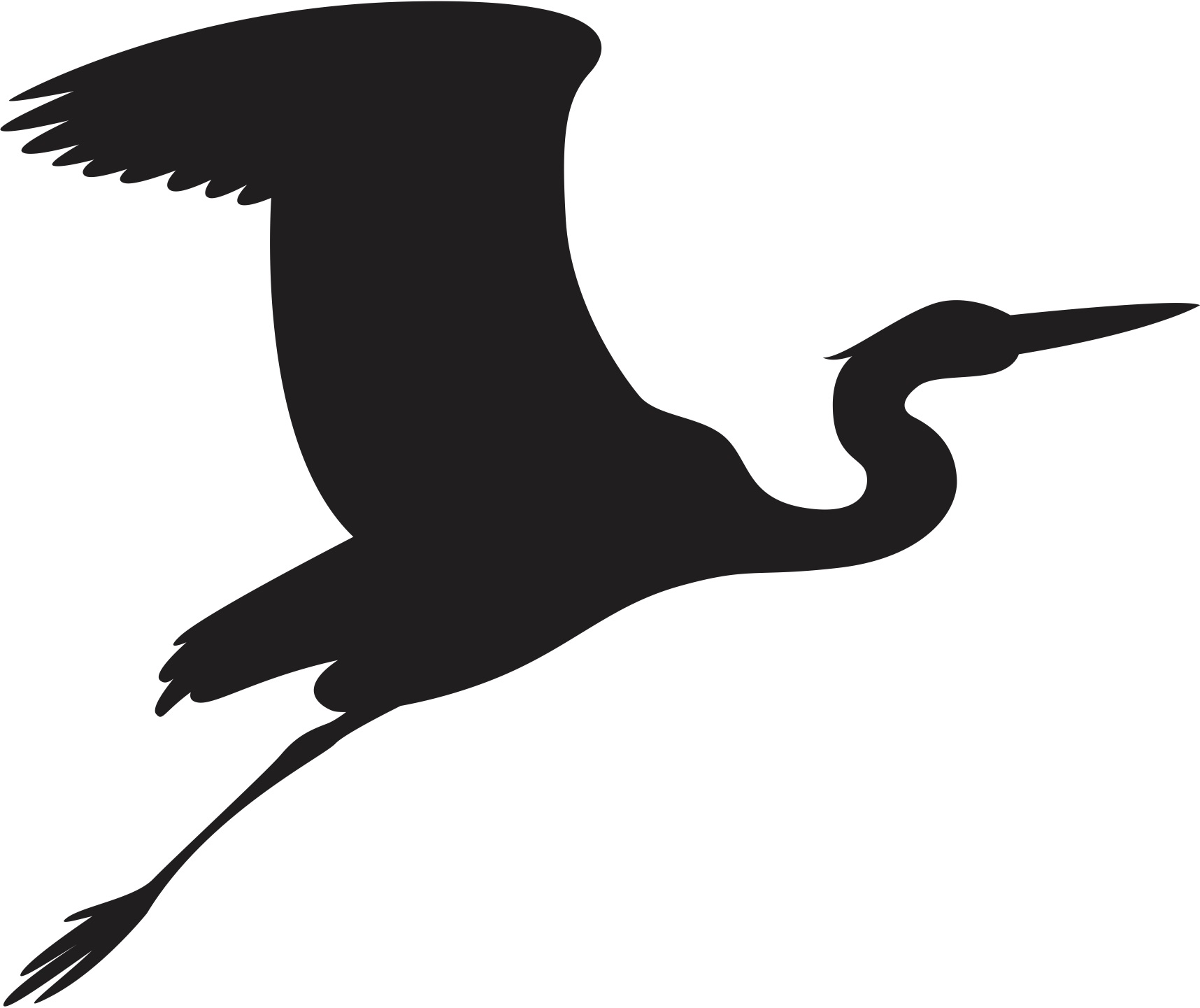 Flugbild Reiher