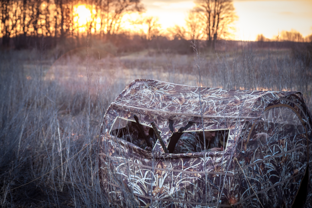 Anstand auf Entenstrich aus der Deckung