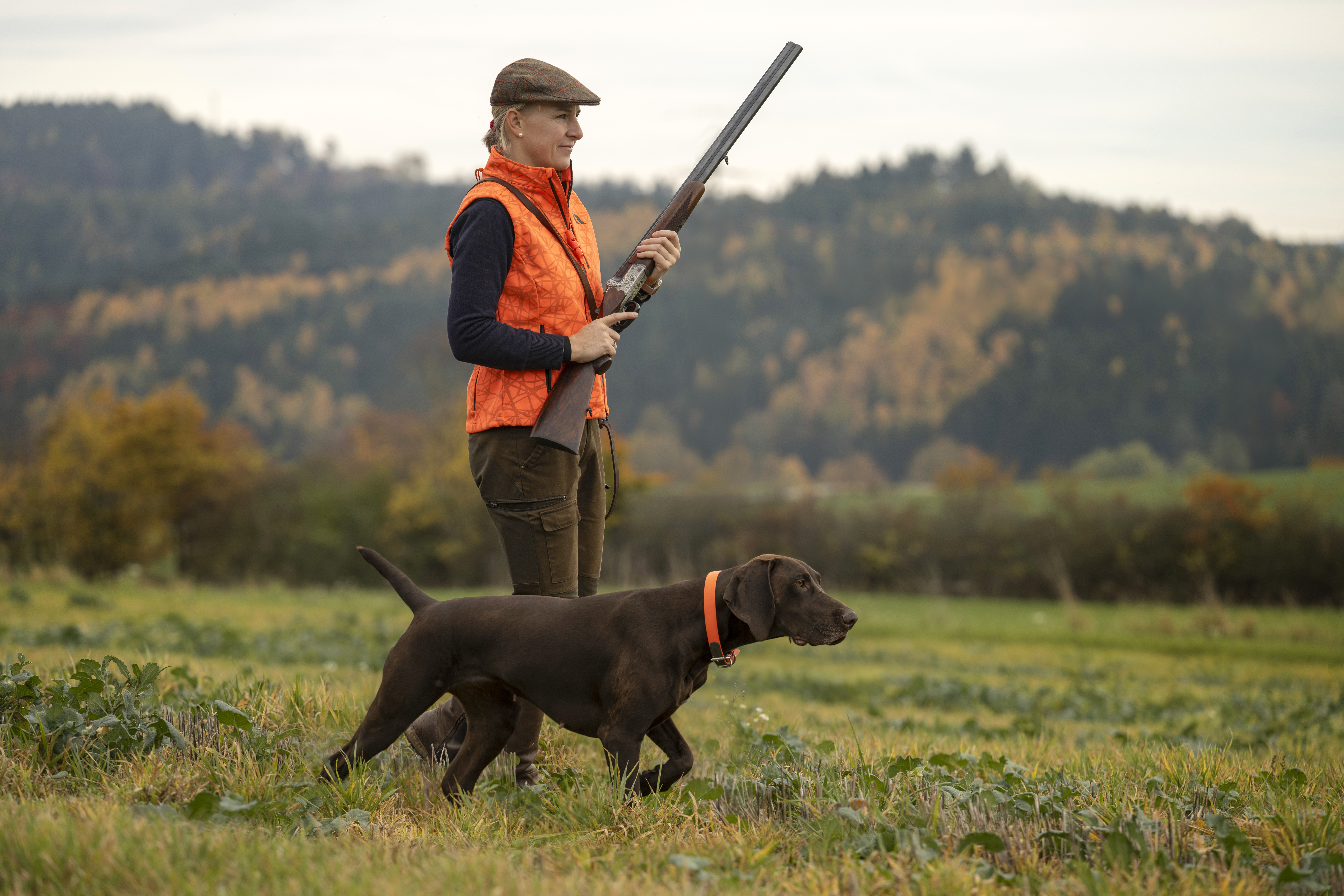 Deutsch Kurzhaar mit Jägerin bei Niederwildjagd
