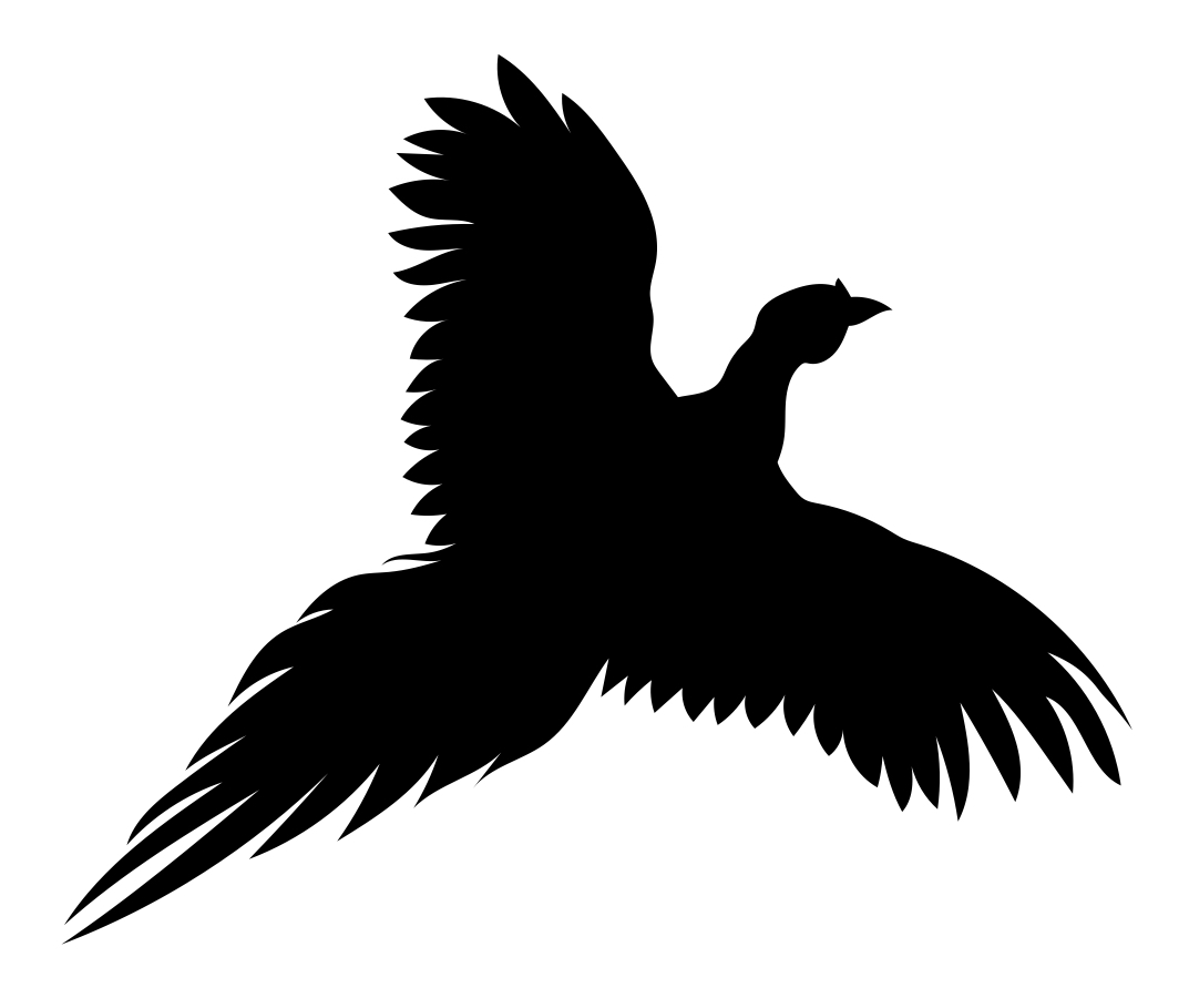 Fasan Flugbild