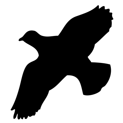 Flugbild Rebhuhn
