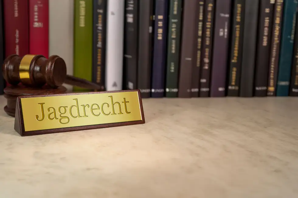 tchibo aufbewahrung küche TCM Hänge Organizer Stauraum für Kleinigkeiten Ordnung Küche, Haushalt & Wohnen Nachbestellen Stall Spielzeug für Schleich Modell:HAT