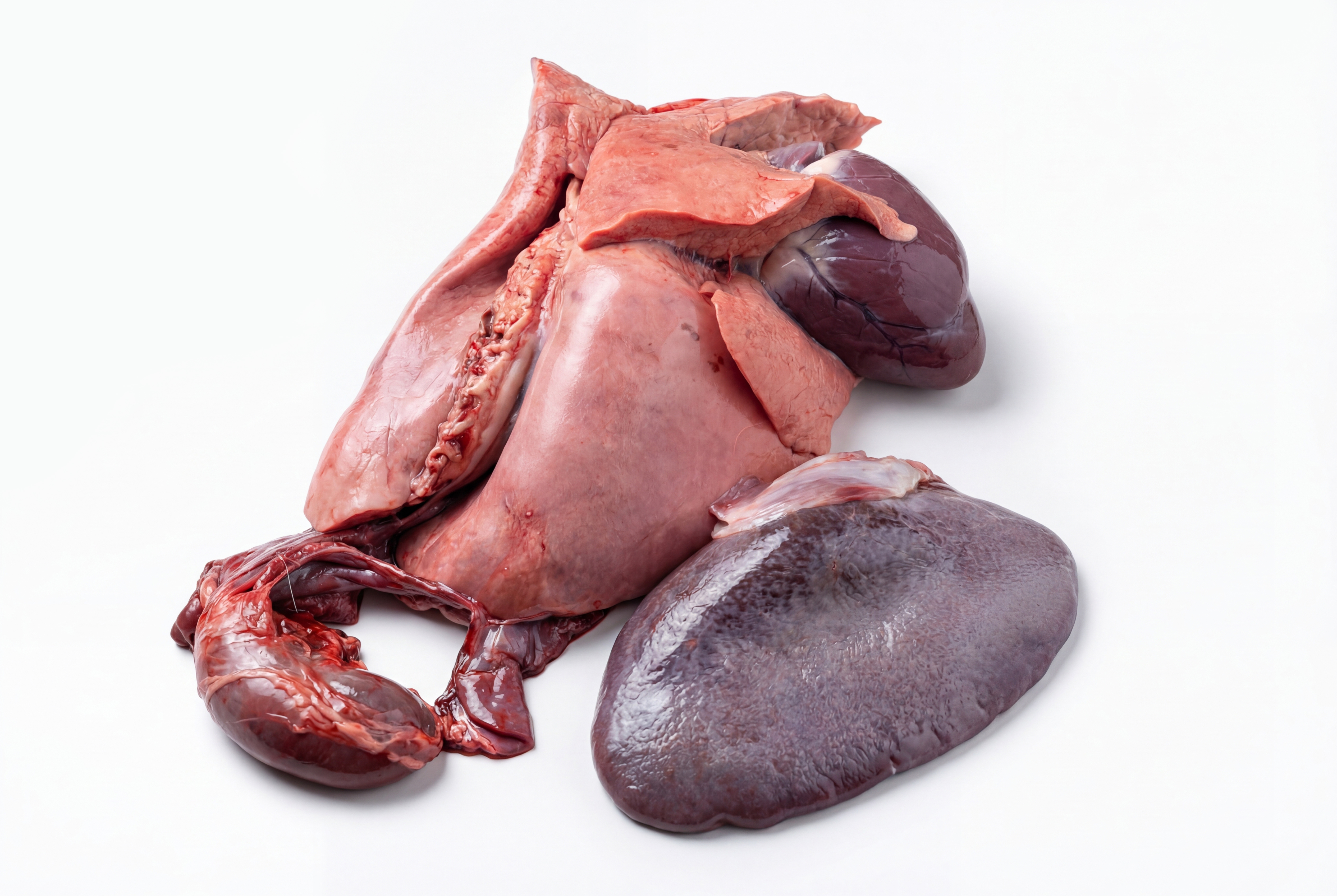 Lunge, Herz, Niere und Milz vom Rehwild