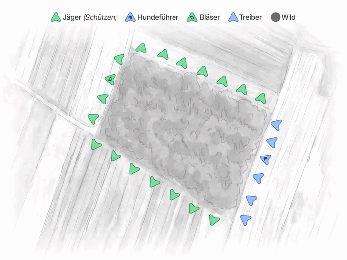 Vorstehtreiben mit Umstellung des gesamten Treibens