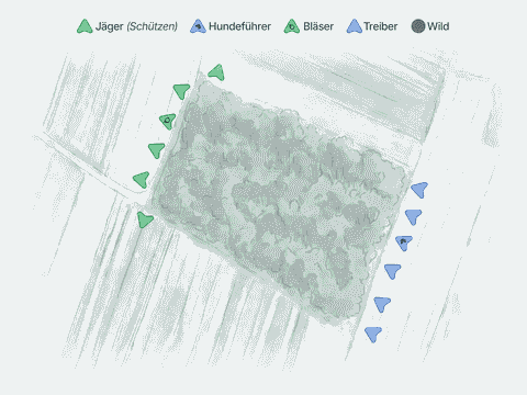 Vorstehtreiben mit einer Front als Treibjagd