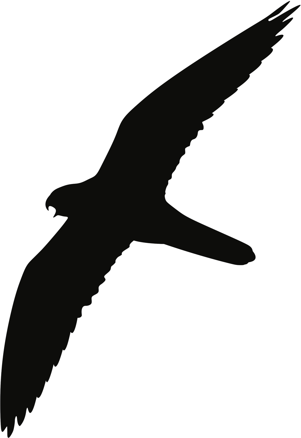 Baumfalke Flugbild