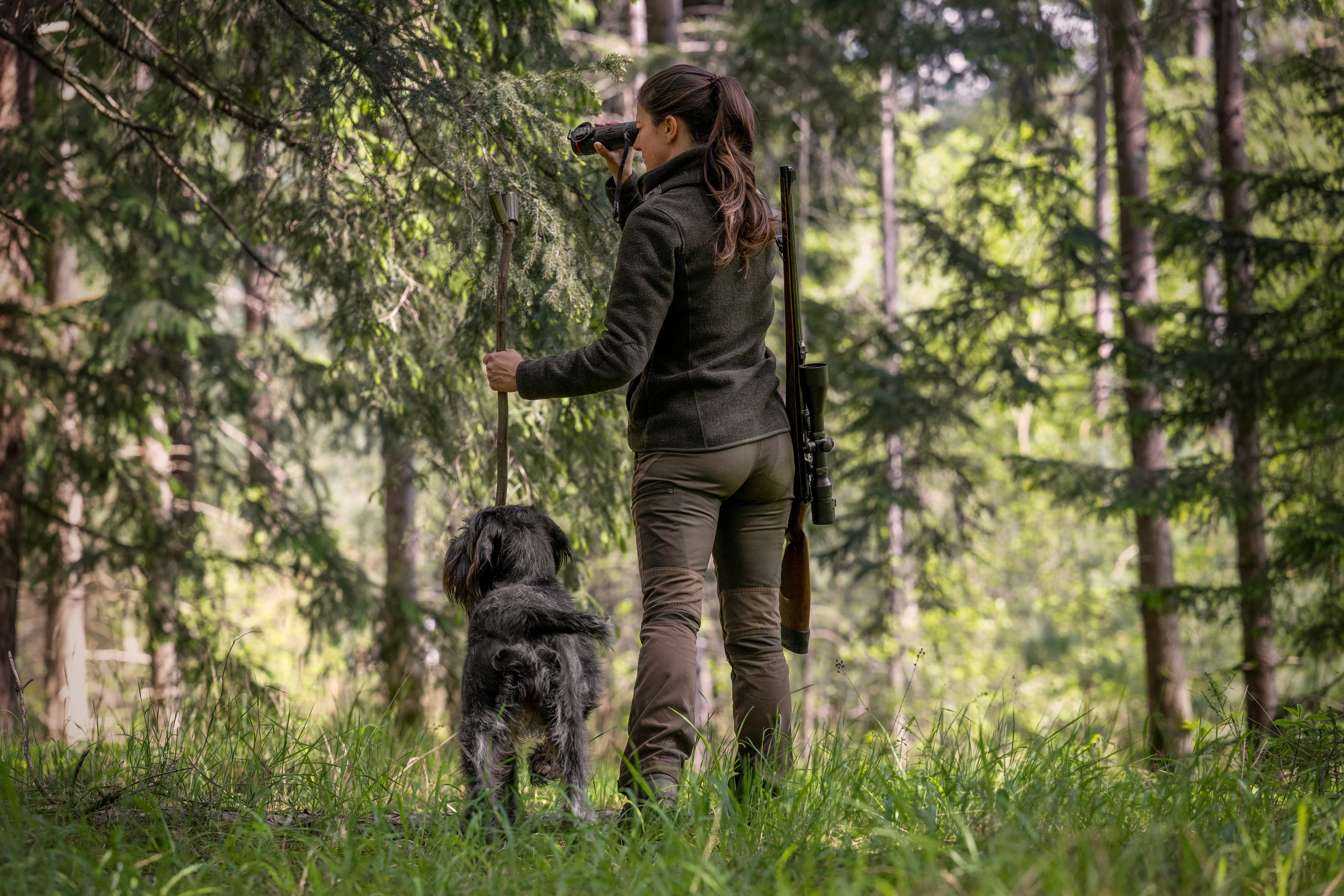 Deutsch Stichelhaar mit Jägerin beim Pirschen