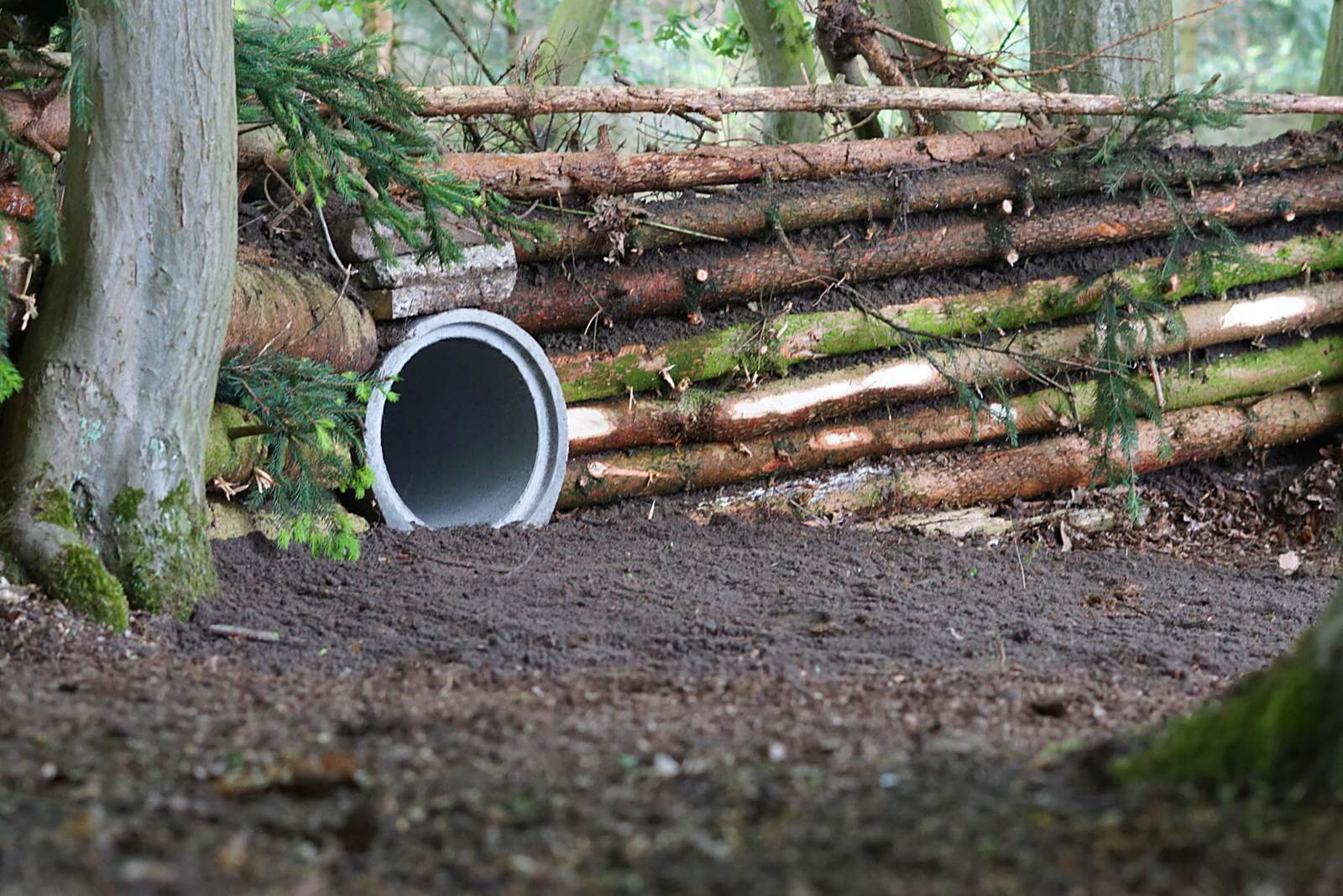 Betonrohrfalle am Zwangswechsel
