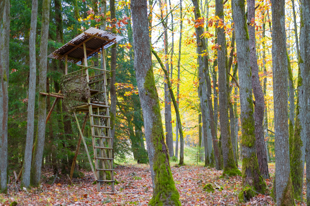 Leiterhochsitz
