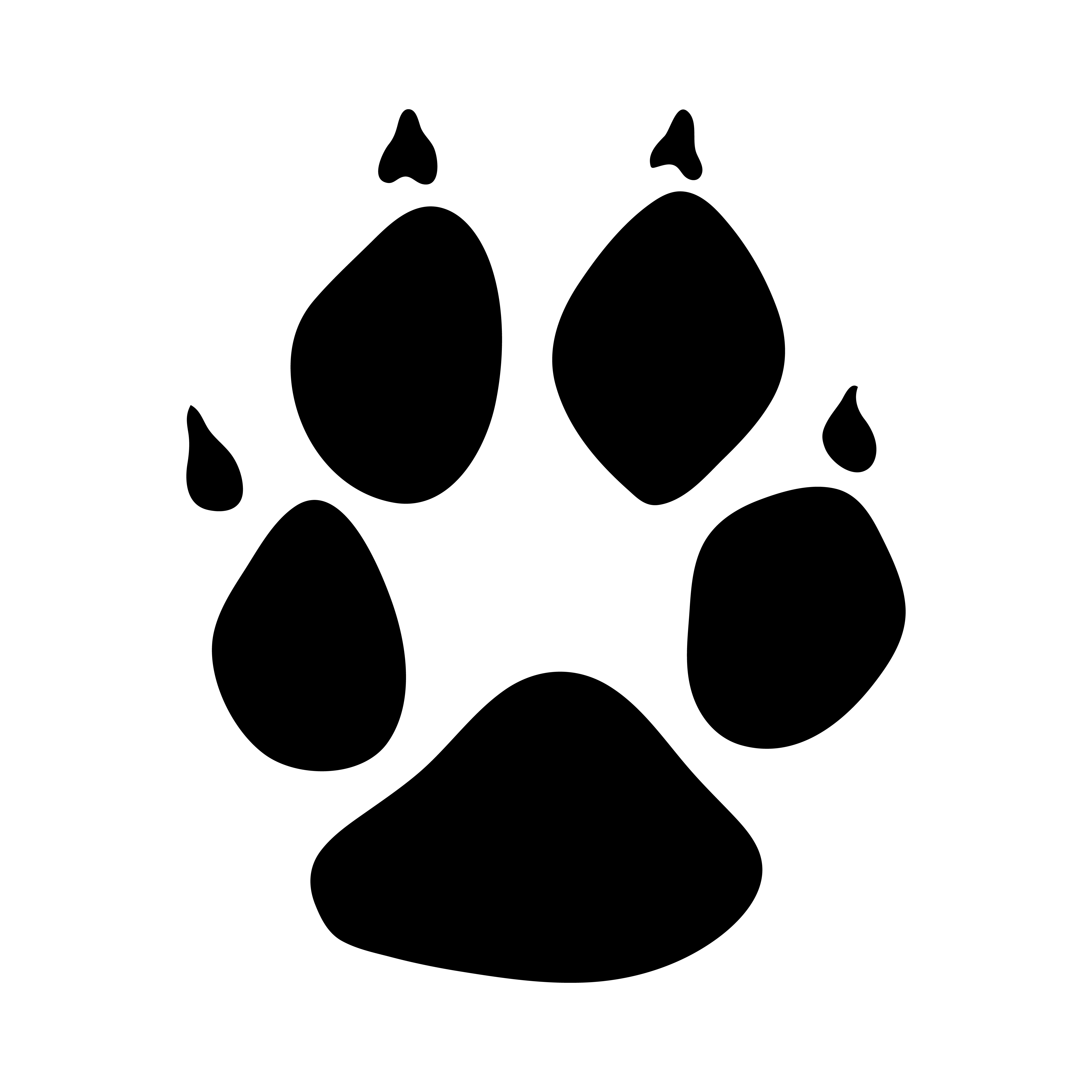 Marderhund Tritt
