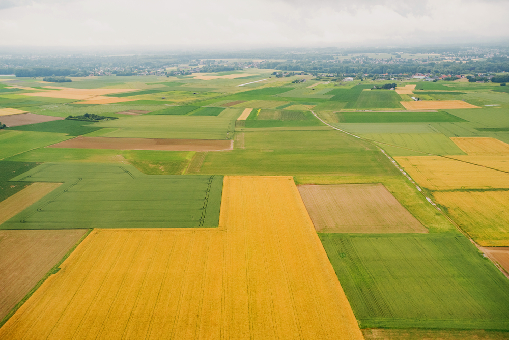 Landwirtschaftliche Nutzfläche ohne Grenzstrukturen