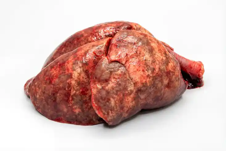 Bedenkliche Merkmale