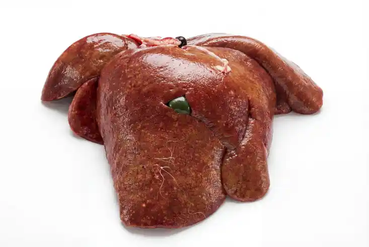 Luchs Bedenkliche Merkmale Kuhpockenvirus