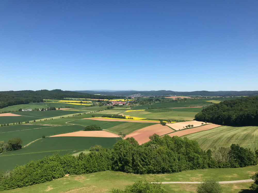 Feldgehölz Feldgehölz
