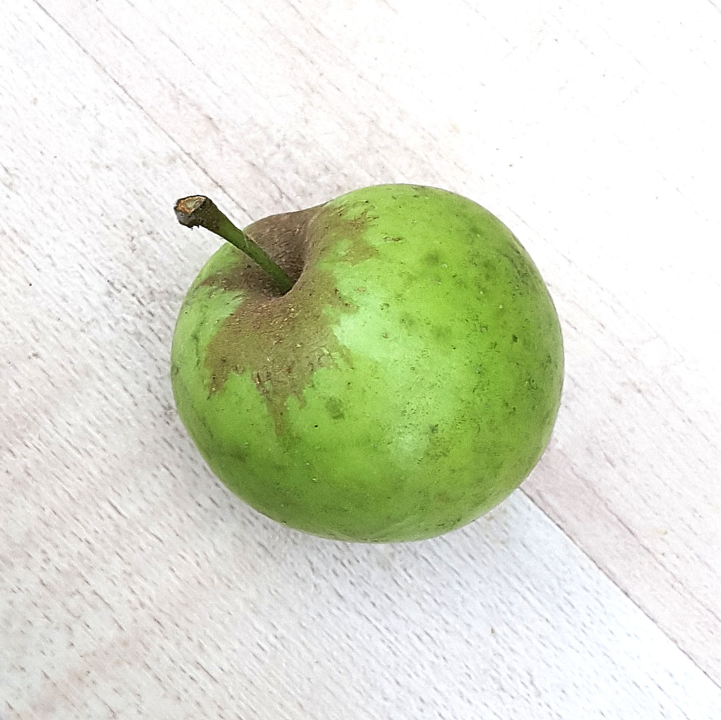 Apfel-Wild u 20211020_120148(0)a