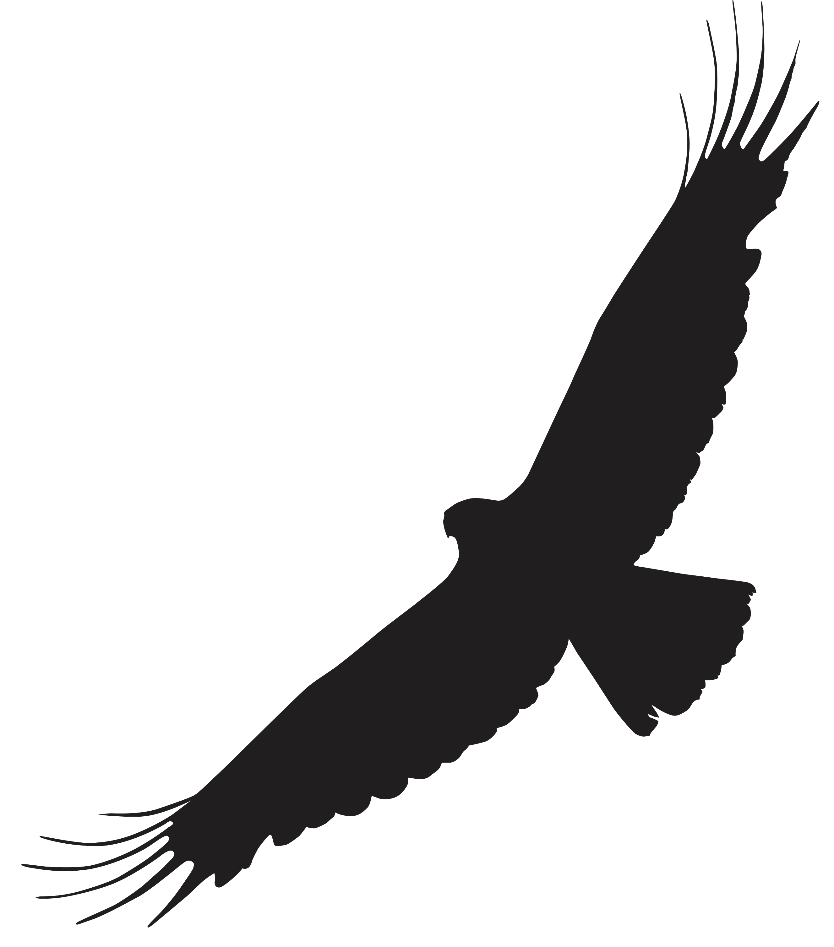 Flugbild von Adlern