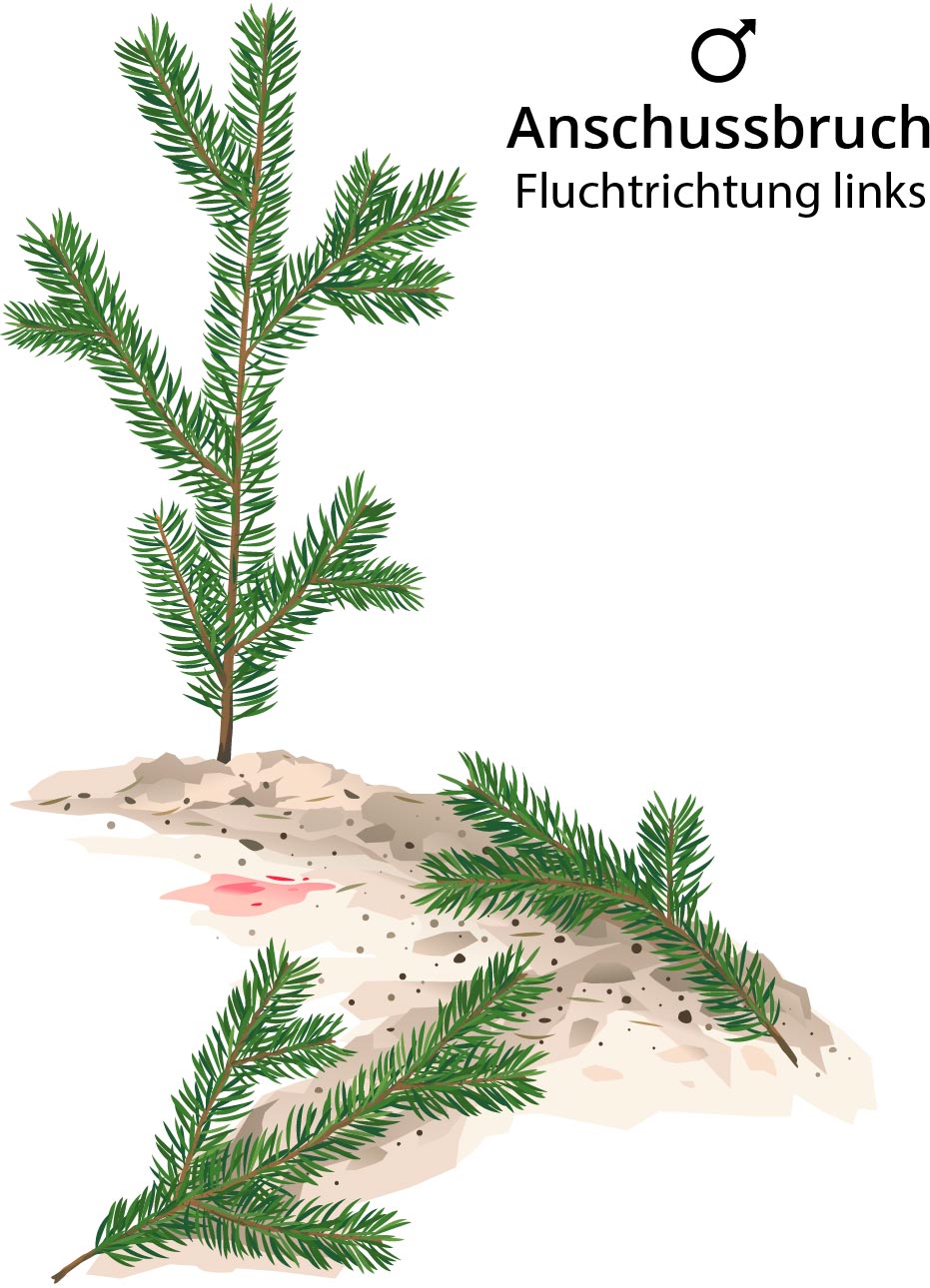 Anschussbruch für ein männliches Stück 